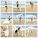 EasyGo Cabana -Beach & Sports Cabana keeps you Cool and Comfortable. Easy Set-up and Take Down. Large Shade Area. More Elegant & Classier than Beach Umbrella (Blue)