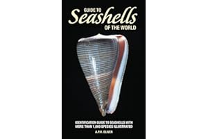 Guide to Seashells of the World