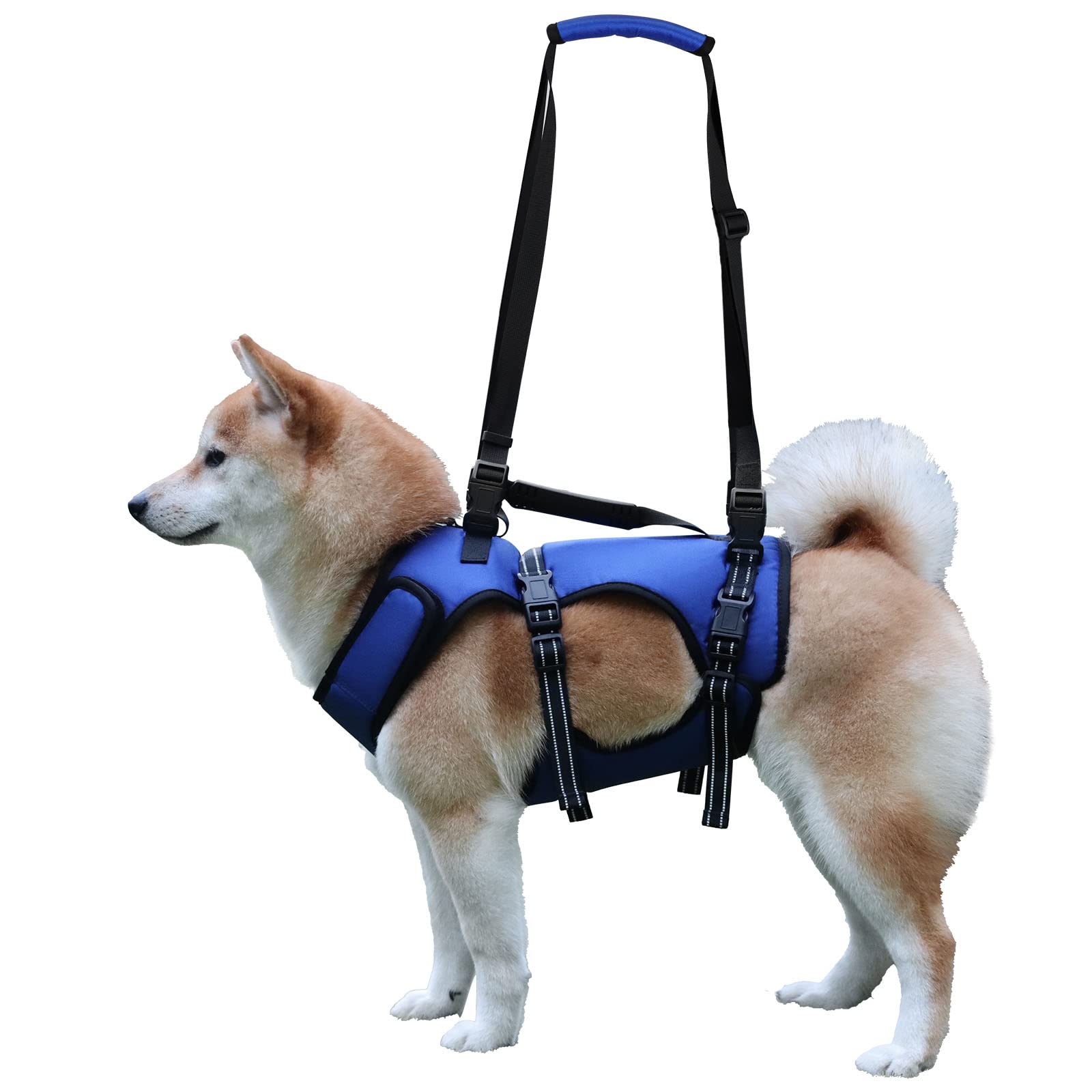 Dog Lift Harness, Full Body Support & Recovery Sling, Pet Rehabilitation Lifts Vest Adjustable Breathable Straps for Old, Disabled, Joint Injuries, Arthritis, Paralysis Dogs Walk (M, Blue)