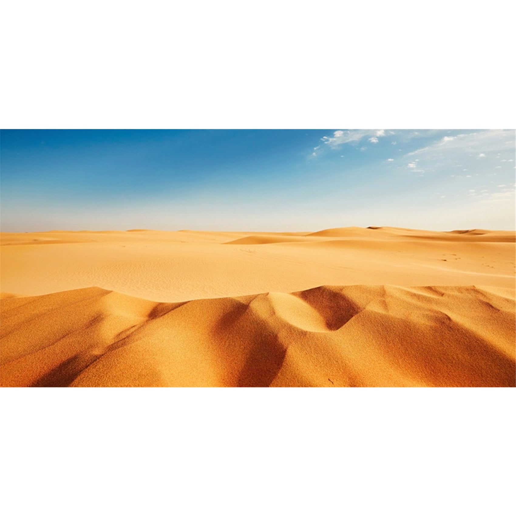 MIRRORANG 120x50cm Terrarium Background Blue Sky Orange Sand Desert Reptile Habitat Background Durable Vinyl Background