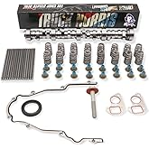 BTR Brian Tooley Racing Truck Norris Cam Kit with Springs Seals and Install Kit incl pushrods for Gen 3 4 LS 4.8 5.3 5.7 6.0 6.2 LS1 Vortec