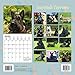 Scottish Terrier Calendar - 2017 Wall Calendars - Calendar 2016 - Dog Breed Calendars - Monthly Wall Calendar by Magnum