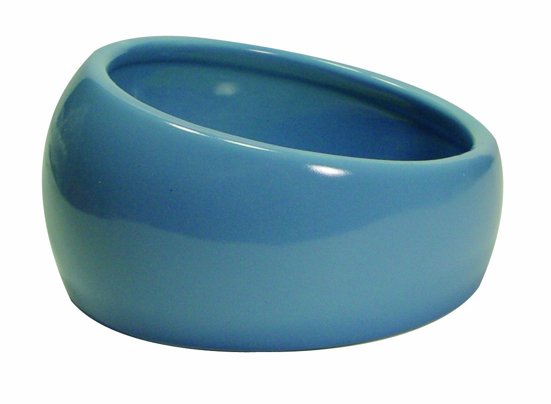 Living World Ergonomic Dish, Blue, Small