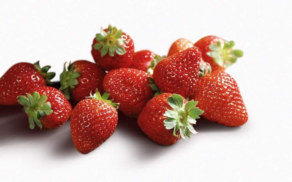 Jewel Strawberry 315 Seeds UPC 600188194746 + 1 Free Plant
