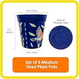 Hum Flowerpots 22cm Set of 3 Blue Hummingbird Indoor Outdoor Plastic Pots view 2