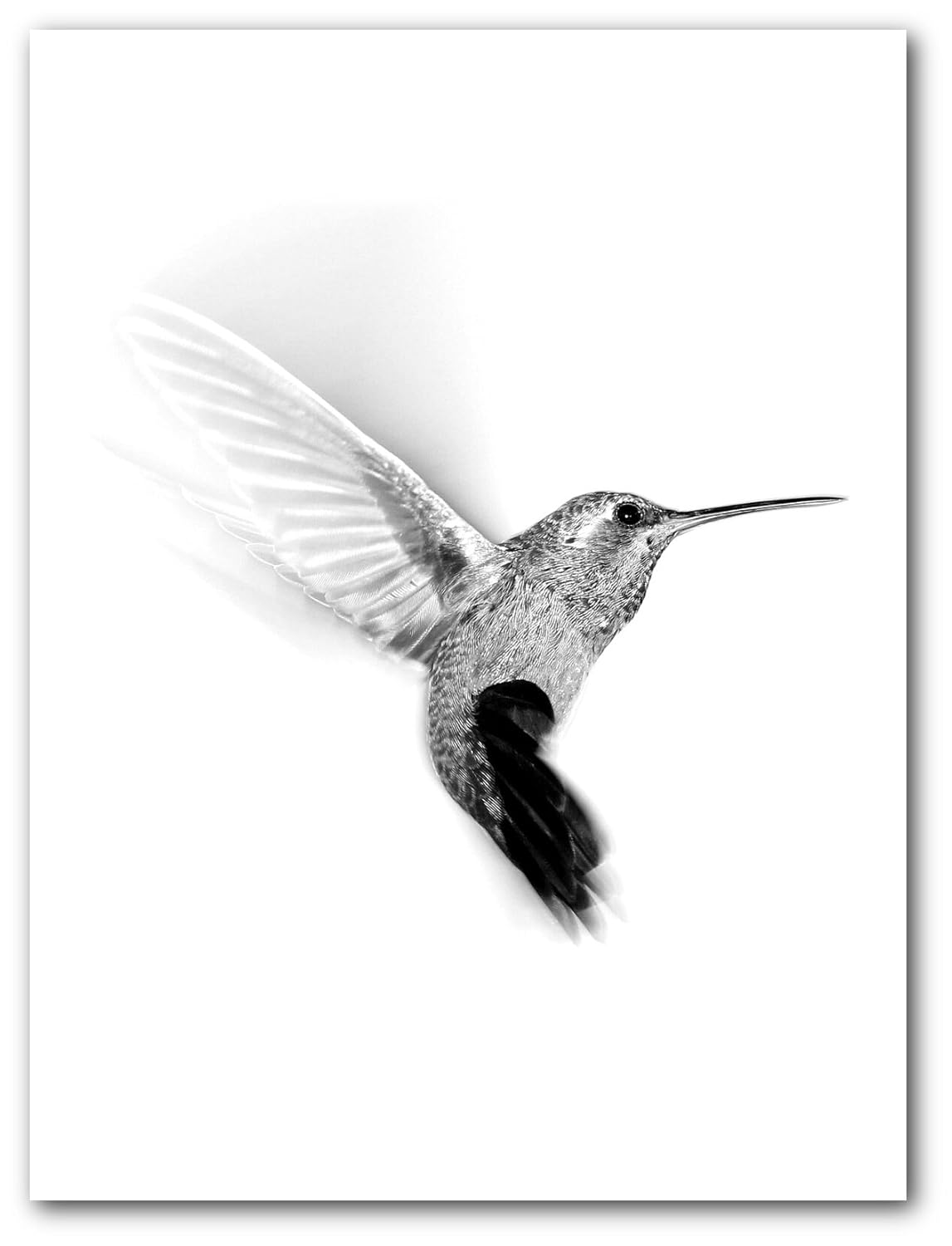 Hummingbird Print, Bird Nature Art, 8 x 10 Inches, Unframed