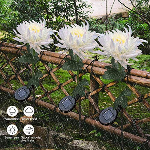 Youyuekefu 1 / 3pcs Solarbetriebene Blumen-Chrysanthemen-Lichter,Led KüNstliche Chrysantheme Garden Lichter,wasserdichte… – Bild 4