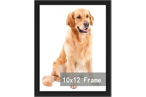 10X12 Picture Frame Black, Display Pictures 10x12 Inch Photo Frames, Wall Hanging Photo Frame Document Certificate Picture Fr