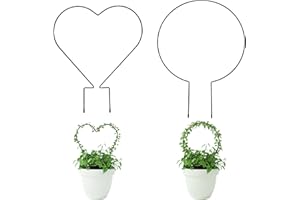 Hufopik Trellis for Potted Plants, Small House Plant Support, Indoor Plant Trellis for Climbing Plants (Circle and Heart Shape)