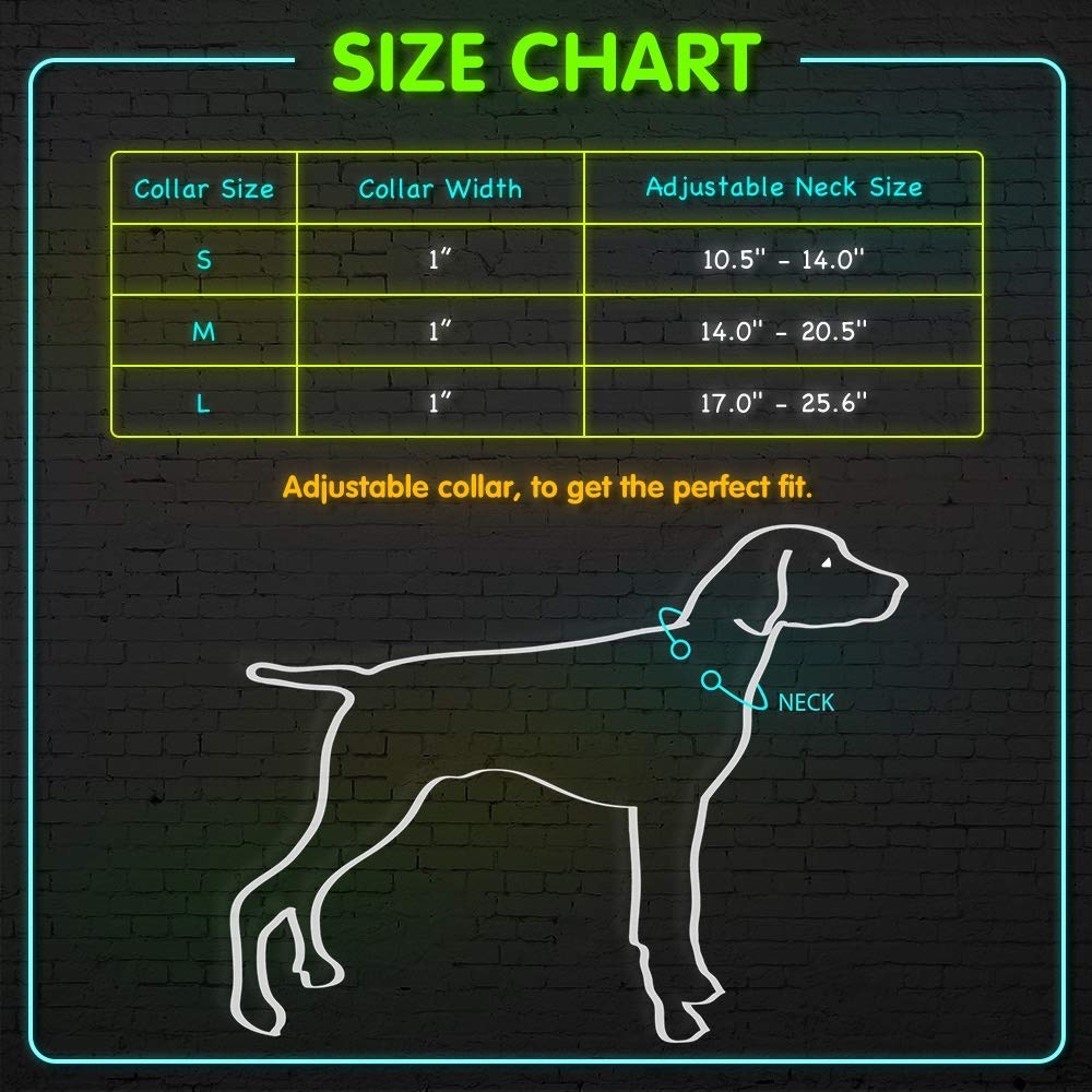Ezier LED Dog Collar- USB Rechargeable Glow in The Dark Led Pet Collar- Light Up Dog Necklaces to Keep Your Dogs Be Seen& Safe (L, Orange)