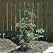 Panacea Products 89733 Heavy Duty Tomato and Plant Support Cage, Set of 4