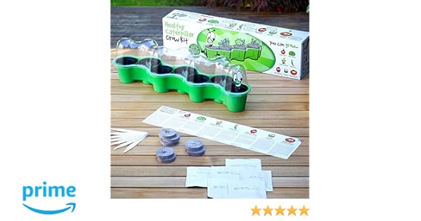Plant Theatre PT/Caterpillar - Kit de Cultivo en casa, Color ...