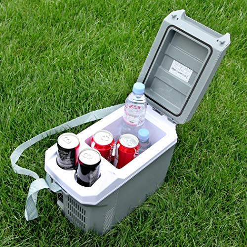 CARTMAN Thermoelectric Cooler and Warmer for Car (8 Liter) 12V DC