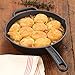 Emeril Lagasse Pre-Seasoned Cast Iron Skillet, 12