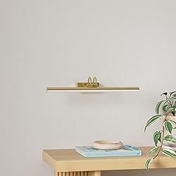 RAIFOOLLY Picture Light,16in Wireless Battery Wall