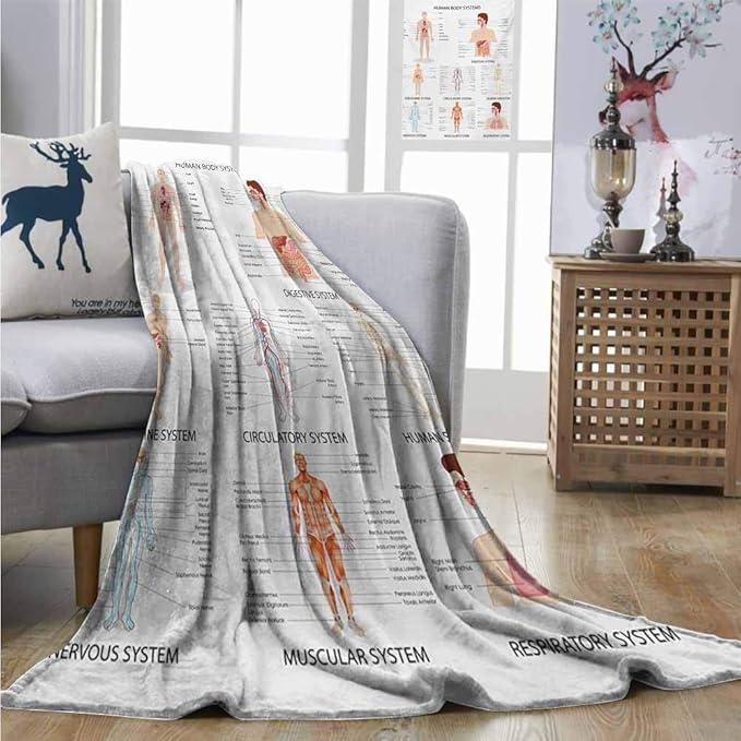 ZZPHH Degrees of Comfort Weighted Blanket Human Anatomy Complete Chart