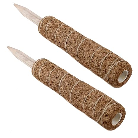 Warooma - Bastón de tótem de Fibra de Coco apilable para Plantas ...