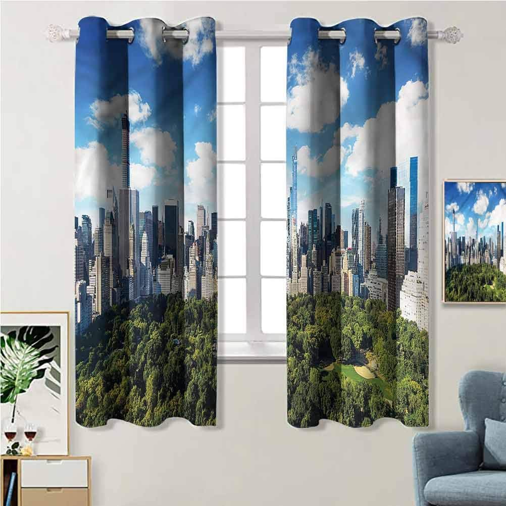 Jinguizi NYC,Sunny Day in Manhattan Park Modern Print