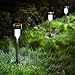 iHomy 12 Pack Solar Lights, Outdoor Garden Lights, Landscape Lighting, Pathway Lights for Lawn, Patio(Stainless Steel)