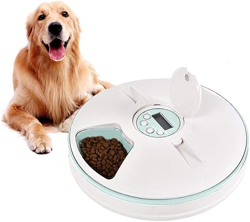 automatic cat feeder wet food uk