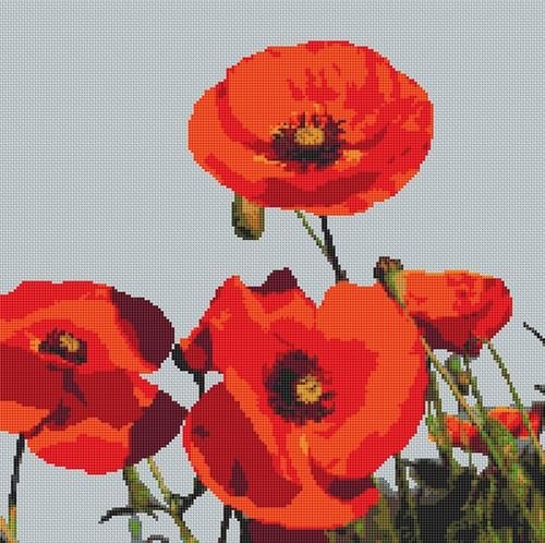 Field of Poppies Cross Stitch Kit