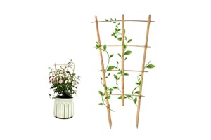 COLOtime 3Pack Bamboo Trellis 16 Inch Fan Shaped Small Plant Trellis for Indoor Potted Plants Climbing Monstera Orchid Vine Hoya Houseplant