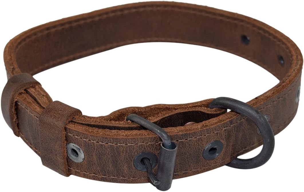 thin leather dog collar