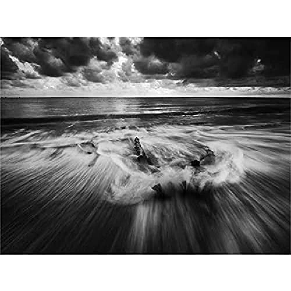 Driftwood Breaking Waves Canvas Wall Art Print