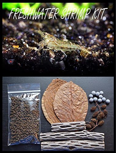 FRESHWATER SHRIMP KIT #5