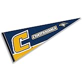 Tennessee Chattanooga Pennant Full Size Felt