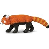 Safari Ltd. Red Panda Toy - 4.3 Inch Realistic Wildlife Figure for Kids | 4.3 Inches Long x 1.5 Inches Tall, Ages 3+, Safety Tested, BPA Free PVC, Wildlife Play, Classroom Animal Study