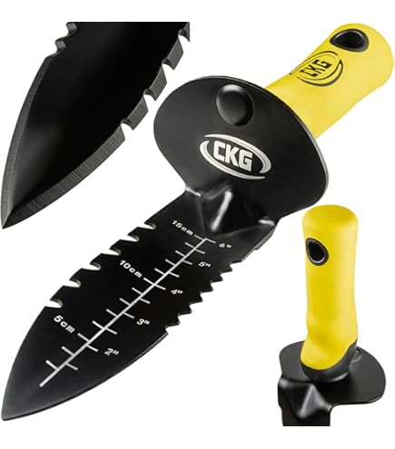 Amazon.com : Lesche T- Handle 31