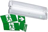 Knightsbridge 3W Green LED Daylight Emergency Bulkhead Light Indoor Outdoor view 1