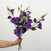Doment 5Pcs Artificial Silk Lisianthus Flower Stem 26In Fake Eustoma Lisianthus Flower Branches for DIY Wedding Party Home Decor (Dark Purple)
