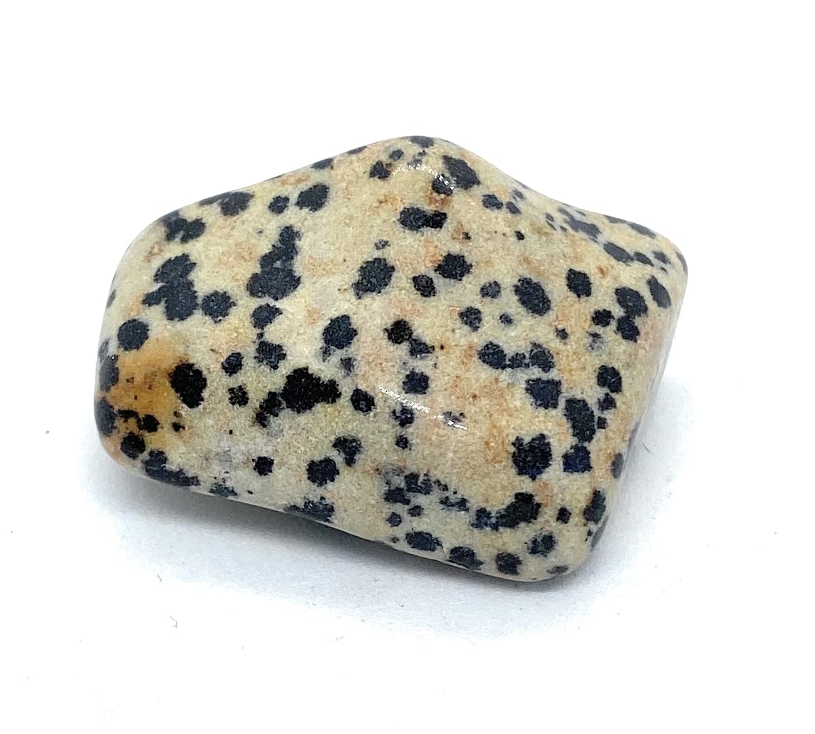 Dalmatian Jasper Large Crystal Tumbled Stone - 1 Pc