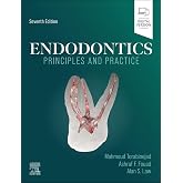 Endodontics: Principles and Practice