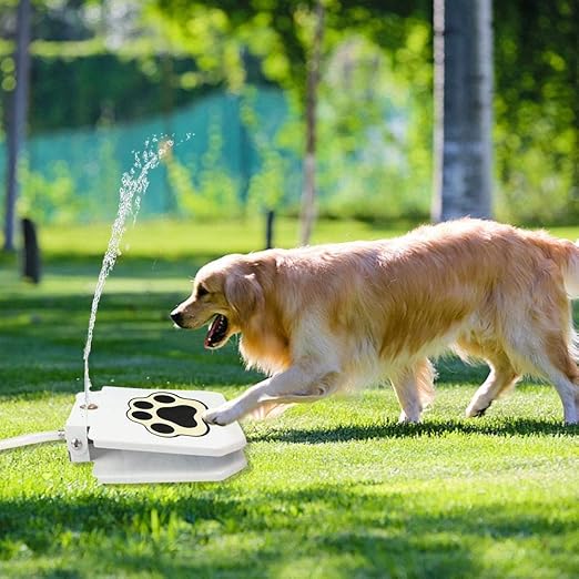 dog activated outdoor fountain