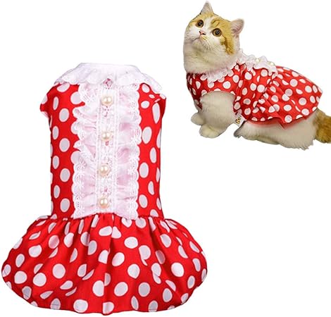 amazon cat dress