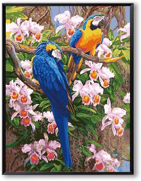 Zwzxyz Diy Peinture A L Huile Par Numeros Animaux Perroquet Peinture A L Huile Sur Toile Decoration De La Maison Mur De La Maison Enfants Chambre Oiseau Amazon Fr Cuisine Maison