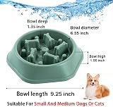 CAISHOW Slow Feeder Dog Bowl Small Medium Dogs Anti Gulping Non Slip view 2