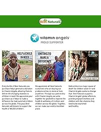 Best Naturals - Polvo de jengibre orgánico certificado de 240 gramos, no se ha verificado el proyecto GMO y certificado USDA orgánico