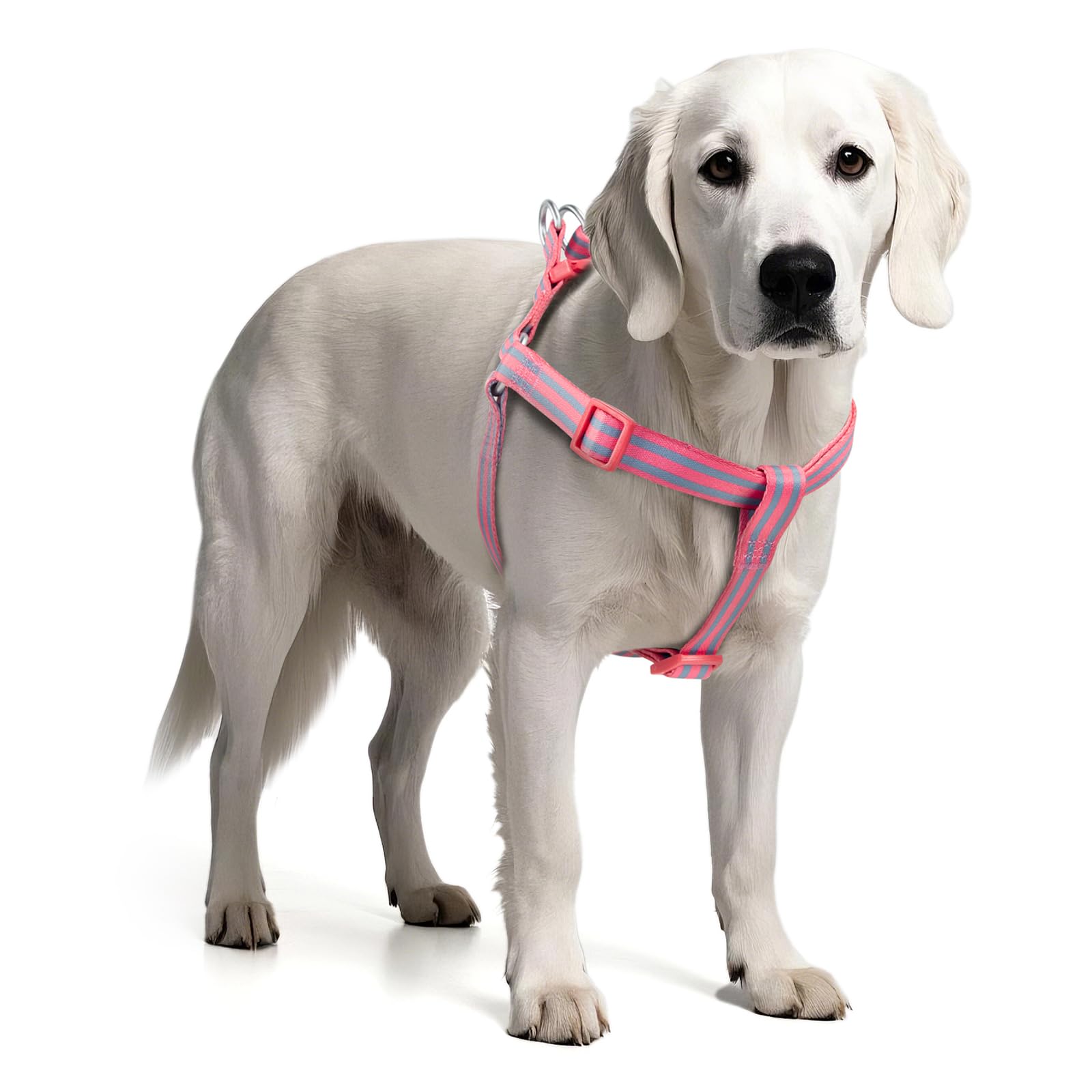 Photo 1 of Tiffpaws Stripe Step in Dog Harness for Small Dogs, Freedom Nylon Dog Halter Vests, Lightweight and Escape Proof Puppy Harness, Quick Fits for Small Medium and Large Dogs, Pink M