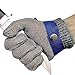 ARCLIBER Level 9 Cut Resistant Glove Stainless Steel Wire Metal Mesh Butcher Glove for Meat Cutting Oyster Shucking Chopping and Peeling