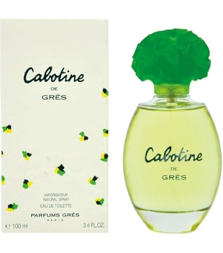 Amazon.com : Cabochard by Gres for Women 3.4 oz Eau de Toilette