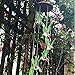 Topspeeder Solar Mobile Wind Chime with Color-Changing LED Lights - Waterproof Hummingbird Wind Chimes for Home, Party, Garden Decoration (Copper Board Hummingbird)