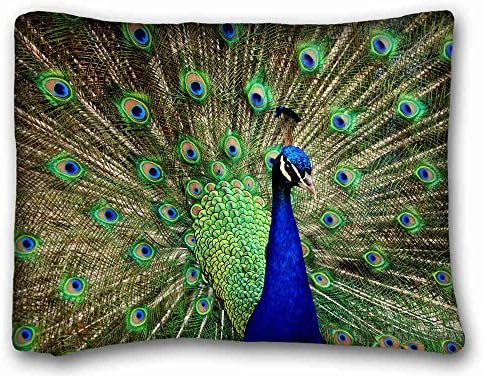 Decorative Standard Pillow Case Animals Birds birds peacocks iridescence 20"*26" One Side