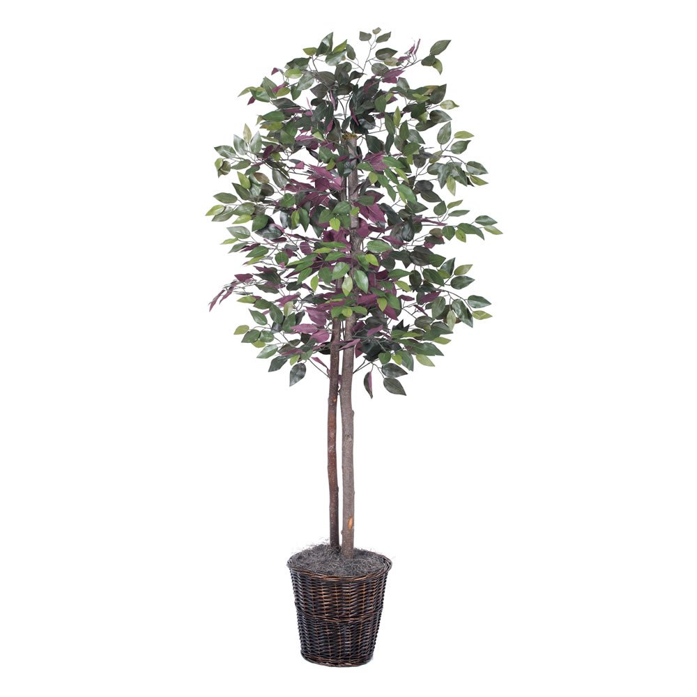 Vickerman6-Feet Artificial Green and Red Capensia Tree in Decorative Container