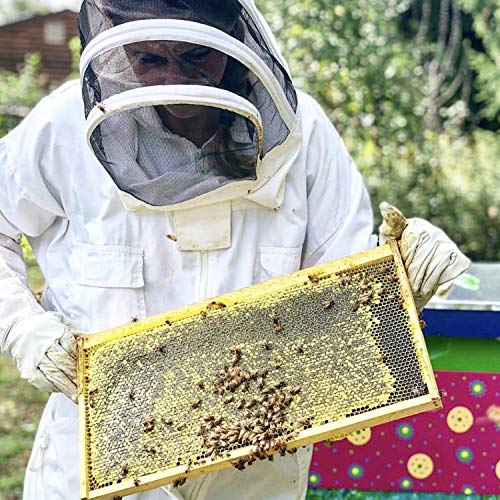 Beekeeping Gloves for Beekeeping Supplies，Beekeeper Protected Goatskin Gloves with Long Canvas Extended Sleeves Ventilated and Flexible Professional Beekeeper Supplies