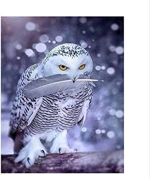 Lsdeere Olgemalde Nach Zahlen Diy Digitales Malen Nach Zahlen Paket Graue Eule Olgemalde Wandbild Kits Farbung Wandkunst Bild Geschenk Rahmenlos 40x50 Cm Amazon De Kuche Haushalt