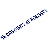 Desert Cactus University of Kentucky Sticker Wildcats UK Wildcats Name Logo Vinyl Decal Laptop Water Bottle Car Scrapbook (15 Inch Sticker)